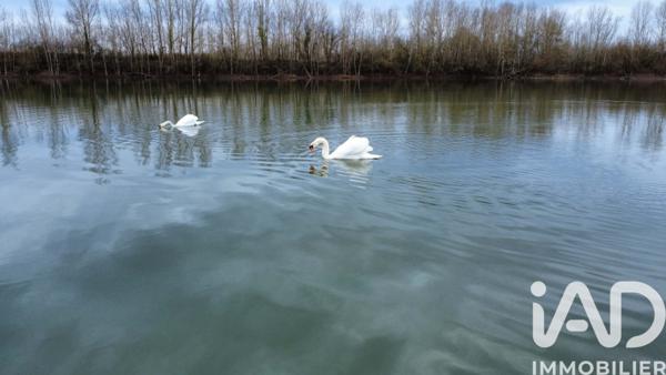 Terrain à vendre 125 000 m² Castelferrus