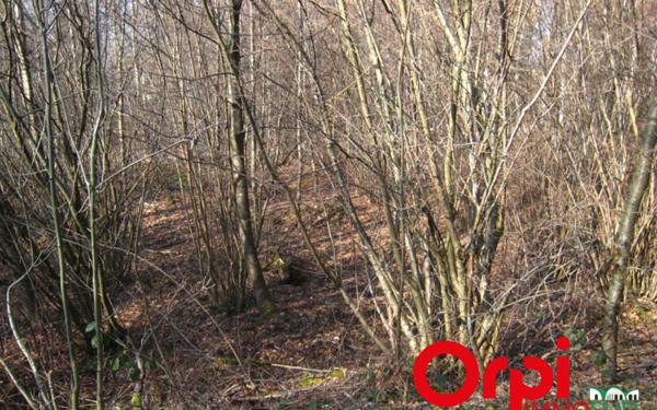 Terrain à vendre    Bacouel-sur-Selle