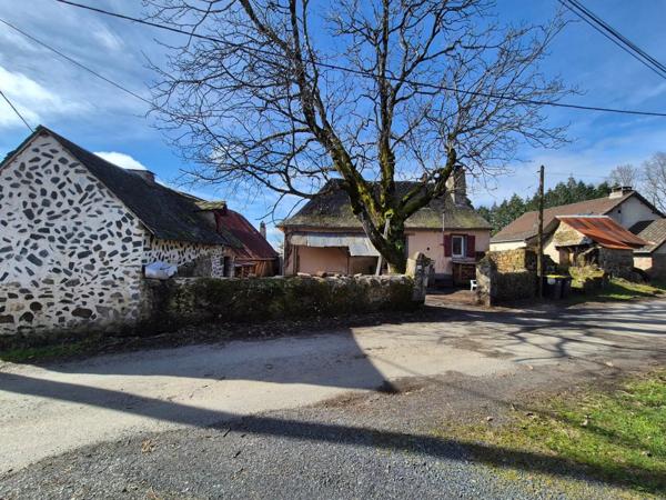 Vente Maison 60 m2 à Orgnac-sur-Vézère