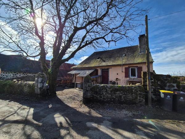 Vente Maison 60 m2 à Orgnac-sur-Vézère