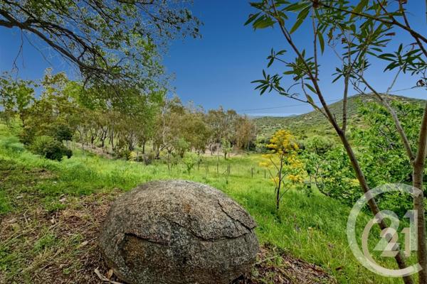 Maison à vendre  5 pièces - 230 m2 ST FLORENT - 202