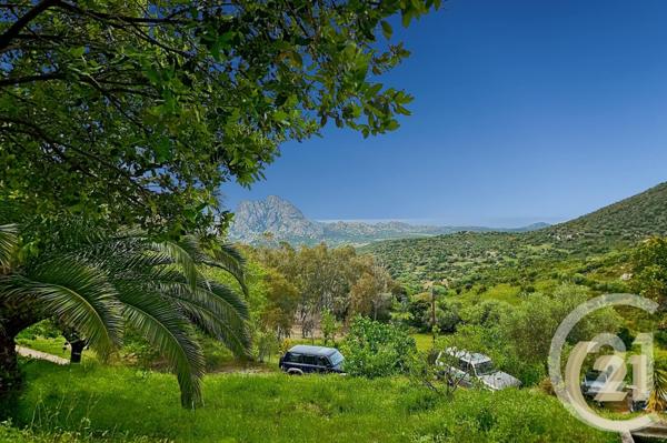 Maison à vendre  5 pièces - 230 m2 ST FLORENT - 202