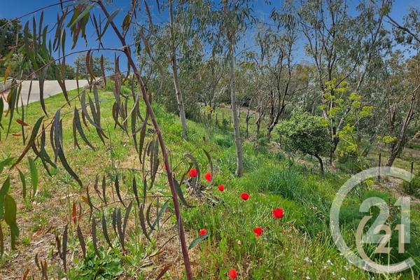 Maison à vendre  5 pièces - 230 m2 ST FLORENT - 202