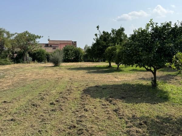 PRUNELLI-DI-FIUMORBO – Terrain à bâtir de 606 m² – 89 600 €