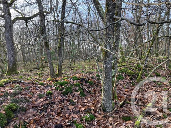 Maison à vendre  8 pièces - 247 m2 VOUZON - 41