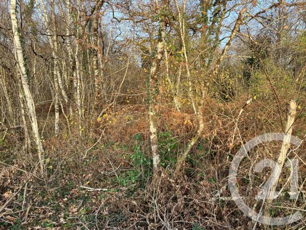 Maison à vendre  8 pièces - 247 m2 VOUZON - 41