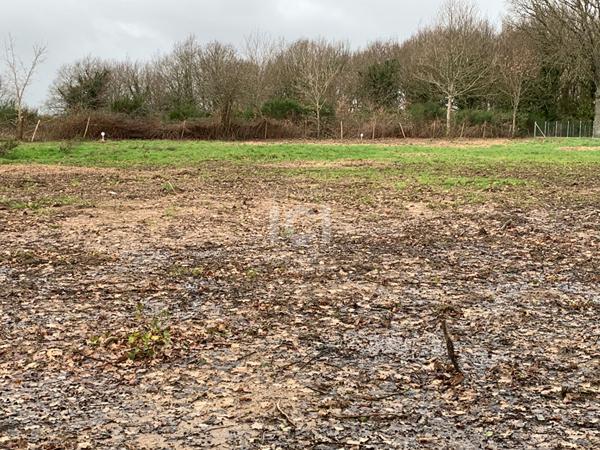 Terrain Saint Lyphard