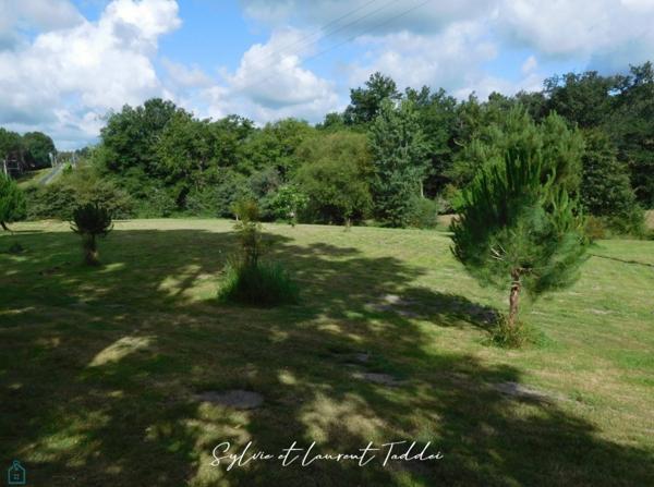BELLE MAISON EN PIERRE DE 239 M² - TERRAIN DE 1,36 HECTARES - PISCINE ET DEPENDANCES