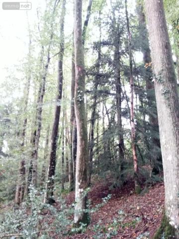Achat - Terrain de loisirs, bois, étangs | Bois Saint-Thomas-de-Courceriers 53160 2193 m 2