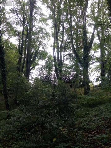 Achat - Terrain de loisirs, bois, étangs | Bois Saint-Thomas-de-Courceriers 53160 2193 m 2