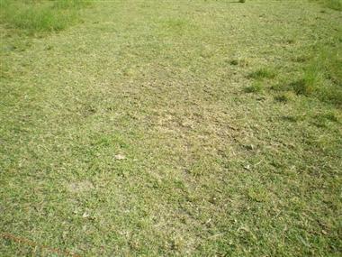 Terrain à Saint Georges de Didonne de 363m2