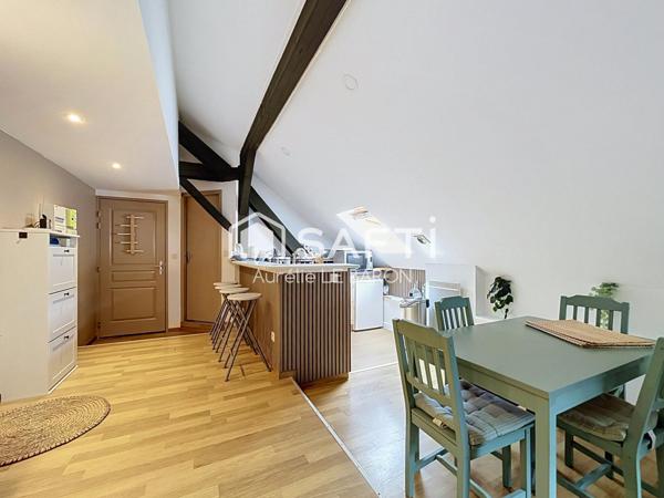 APPARTEMENT RÉNOVÉ ET MEUBLÉ DE 52M² (au sol) – IDÉAL INVESTISSEMENT OU PREMIER ACHAT