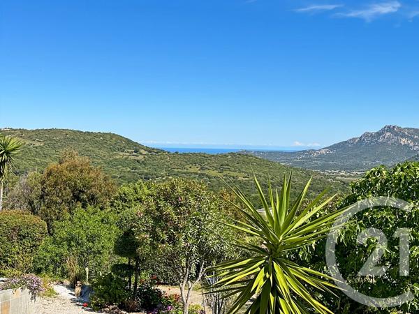 Maison à vendre  7 pièces - 134,15 m 2   CALENZANA  - 202