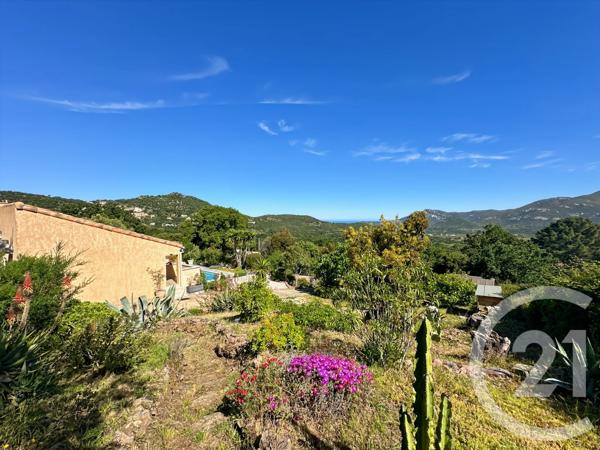Maison à vendre  7 pièces - 134,15 m 2   CALENZANA  - 202