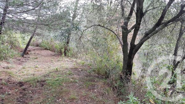 Terrain à vendre  3764 m2 COLOMARS - 06