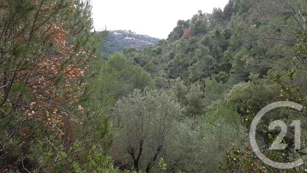 Terrain à vendre  3764 m2 COLOMARS - 06