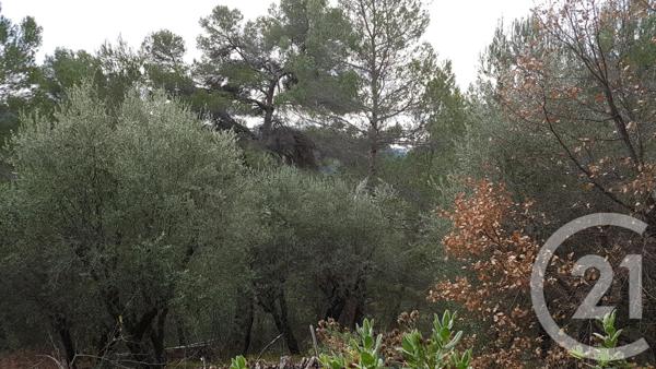 Terrain à vendre  3764 m2 COLOMARS - 06