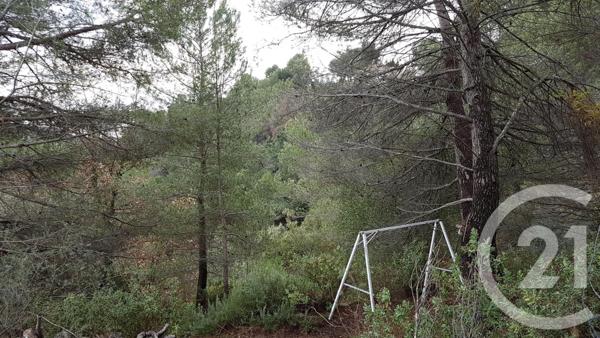 Terrain à vendre  3764 m2 COLOMARS - 06