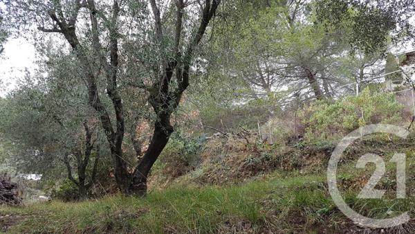 Terrain à vendre  3764 m2 COLOMARS - 06