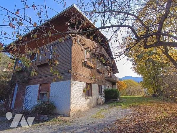 Vente Grand Chalet à SEYNE
