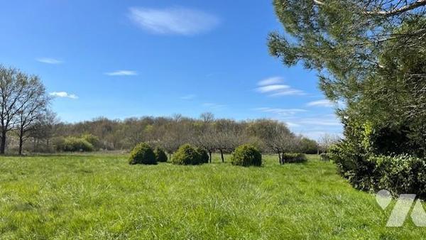 VENTE MAISON INDIVIDUELLE - LUYNES