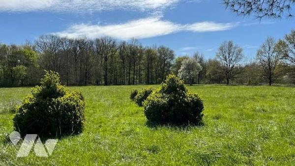 VENTE MAISON INDIVIDUELLE - LUYNES