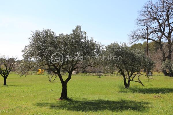 Maison traditionnelle de 111 m²