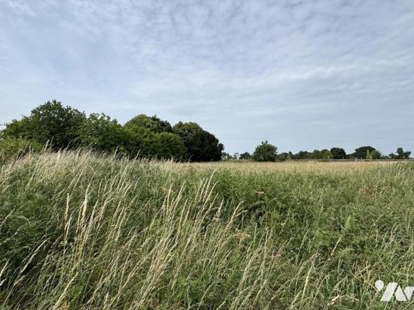 Vente Terrain â bâtir