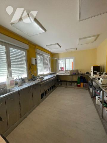 A ACHETER sur la ville de NOGENT LE ROTROU

Local professionnel fonctionnel et parfaitement a...