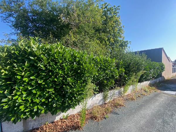 LA ROCHE SUR YON TERRAIN A VENDRE EXCLUSIVITE AMANDA