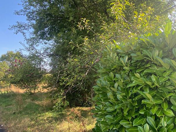 LA ROCHE SUR YON TERRAIN A VENDRE EXCLUSIVITE AMANDA