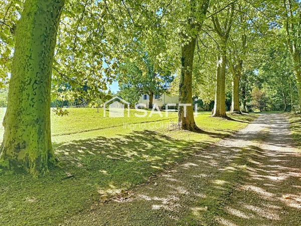 Propriété avec Gîte, Piscine, Dépendances, 1,5 ha de Bois