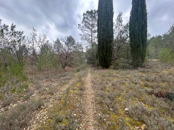 A VENDRE ! Terrain agricole à Saint Antonin Du Var de 24145 m2