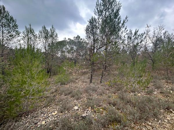 A VENDRE ! Terrain agricole à Saint Antonin Du Var de 24145 m2