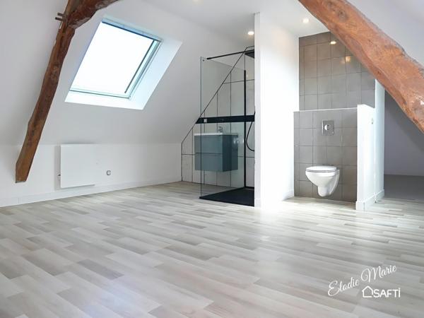 Appartement en duplex refait à neuf