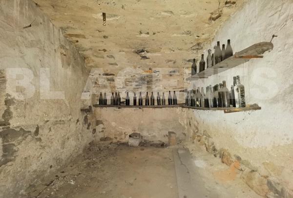 Vente Maison de Hameau à Saint Paul le Jeune