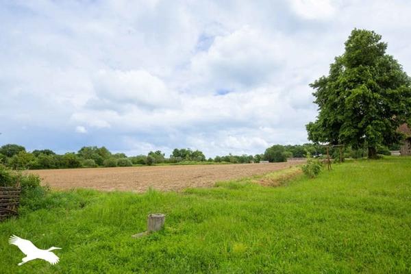 Maison à vendre |  Buzon |  5 pièces | 235 m²