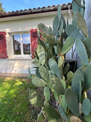 Maison à vendre 8 pièces Proche d'Orthez avec sa grande dépendance