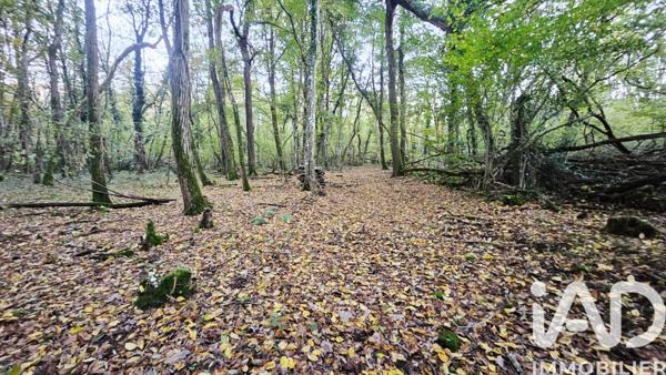 Terrain à vendre 25 548 m² Saint-Hilaire-Saint-Mesmin