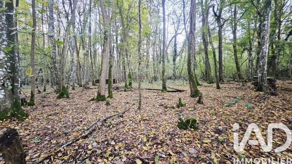 Terrain à vendre 25 548 m² Saint-Hilaire-Saint-Mesmin