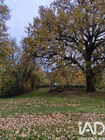 Maison à vendre 9 pièces 260 m² Chavin