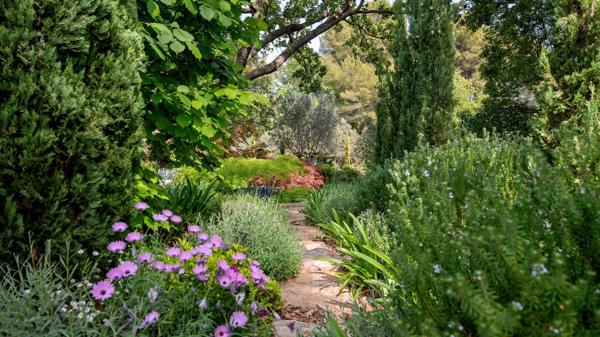 Vente Maison provençale de luxe Draguignan 7 Pièces 300 m²