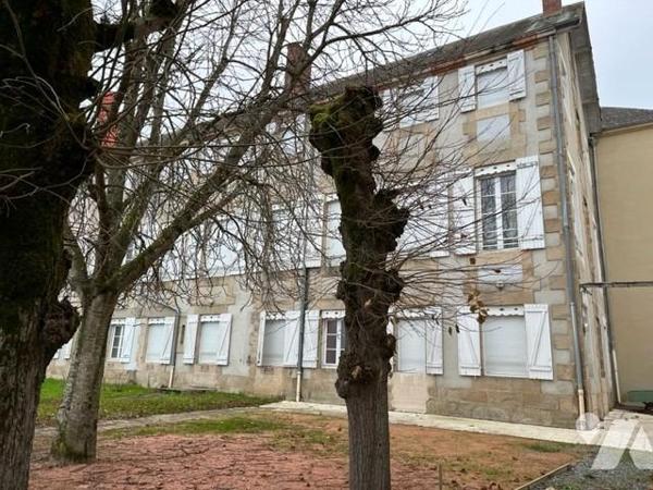 IMPORTANT ENSEMBLE IMMOBILIER - ALLIER - 03160
