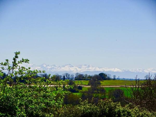 Vente / Maison avec dépendance