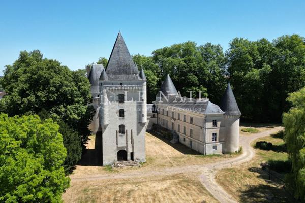 Monumental ensemble castral en Berry, proche d'un sanctuaire renommé