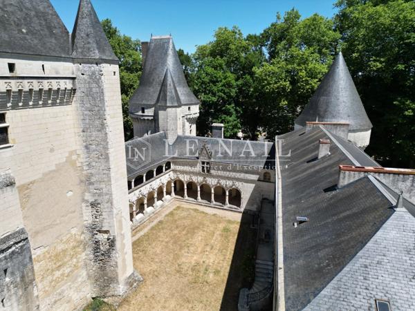 Monumental ensemble castral en Berry, proche d'un sanctuaire renommé