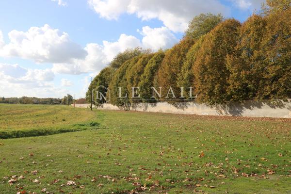 Monumental ensemble castral en Berry, proche d'un sanctuaire renommé