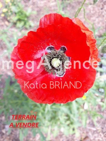 Terrain à BONCHAMP-LES-LAVAL, 53960 - 7779m²