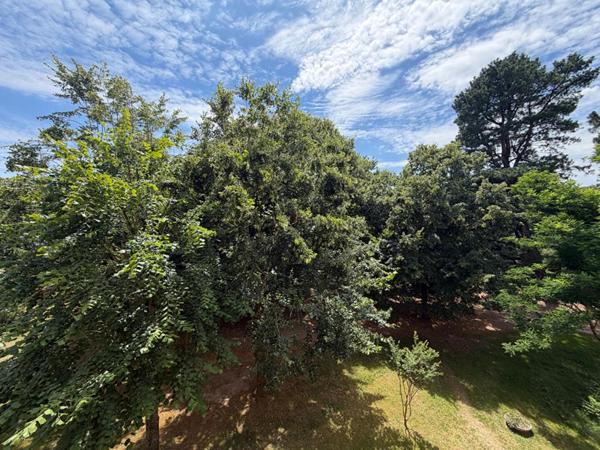 Appartement à vendre Nantes HIPPODROME parfait état