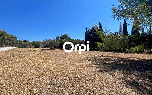 Terrain à vendre    La Ciotat